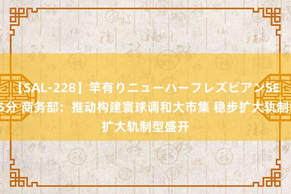 【SAL-228】竿有りニューハーフレズビアンSEX1125分 商务部：推动构建寰球调和大市集 稳步扩大轨制型盛开