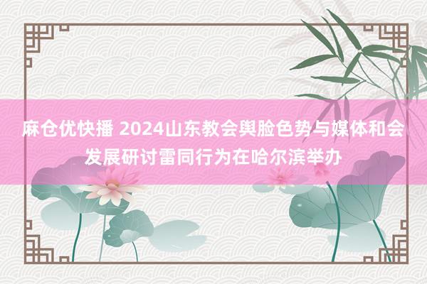 麻仓优快播 2024山东教会舆脸色势与媒体和会发展研讨雷同行为在哈尔滨举办