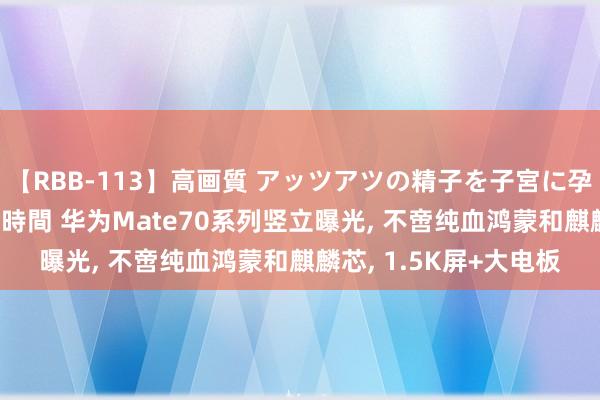 【RBB-113】高画質 アッツアツの精子を子宮に孕ませ中出し120発16時間 华为Mate70系列竖立曝光, 不啻纯血鸿蒙和麒麟芯, 1.5K屏+大电板