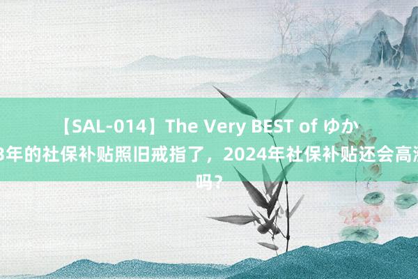 【SAL-014】The Very BEST of ゆか 2023年的社保补贴照旧戒指了，2024年社保补贴还会高涨吗？