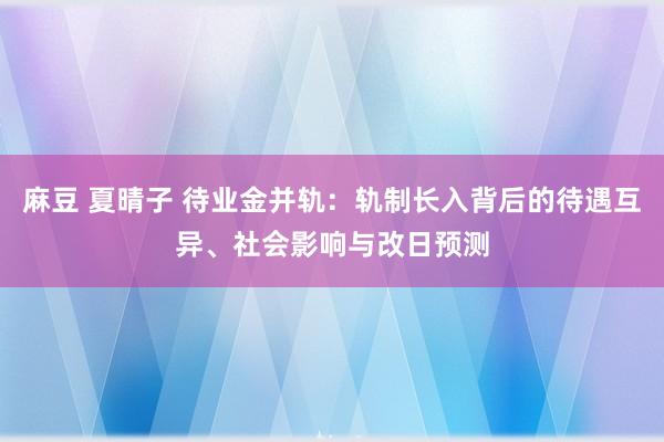 麻豆 夏晴子 待业金并轨：轨制长入背后的待遇互异、社会影响与改日预测