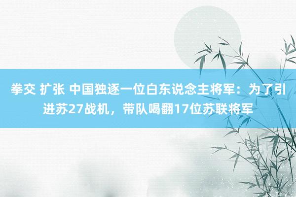 拳交 扩张 中国独逐一位白东说念主将军：为了引进苏27战机，带队喝翻17位苏联将军