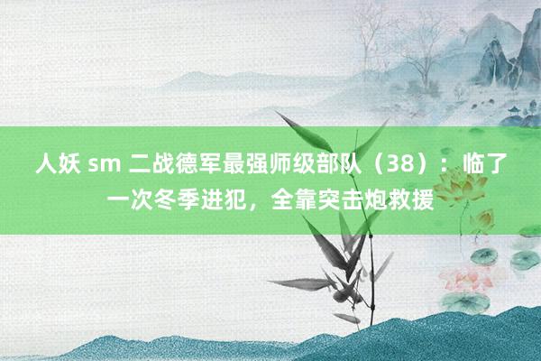 人妖 sm 二战德军最强师级部队（38）：临了一次冬季进犯，全靠突击炮救援