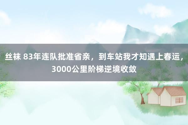 丝袜 83年连队批准省亲，到车站我才知遇上春运，3000公里阶梯逆境收敛