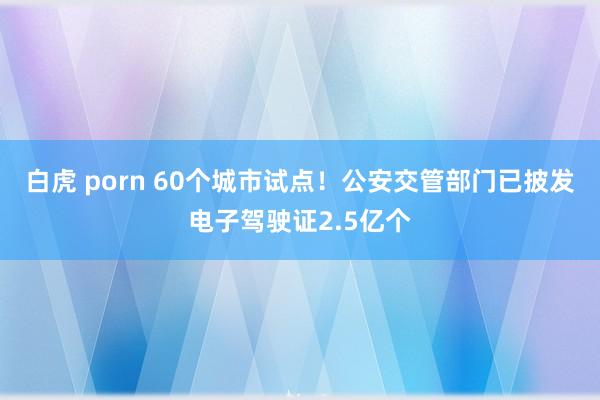 白虎 porn 60个城市试点！公安交管部门已披发电子驾驶证2.5亿个