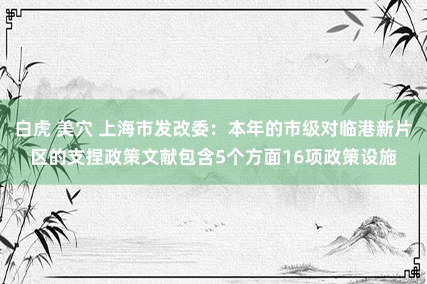 白虎 美穴 上海市发改委：本年的市级对临港新片区的支捏政策文献包含5个方面16项政策设施