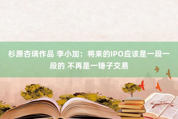 杉原杏璃作品 李小加：将来的IPO应该是一段一段的 不再是一锤子交易