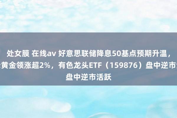 处女膜 在线av 好意思联储降息50基点预期升温，赤峰黄金领涨超2%，有色龙头ETF（159876）盘中逆市活跃