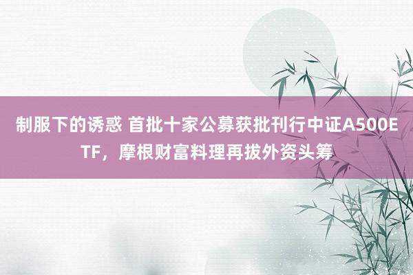 制服下的诱惑 首批十家公募获批刊行中证A500ETF，摩根财富料理再拔外资头筹