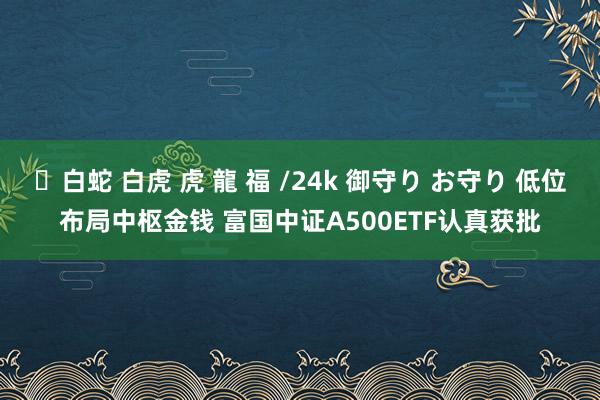 ✨白蛇 白虎 虎 龍 福 /24k 御守り お守り 低位布局中枢金钱 富国中证A500ETF认真获批