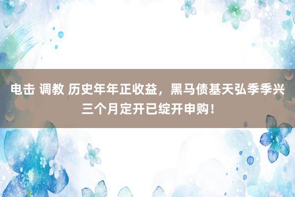 电击 调教 历史年年正收益，黑马债基天弘季季兴三个月定开已绽开申购！