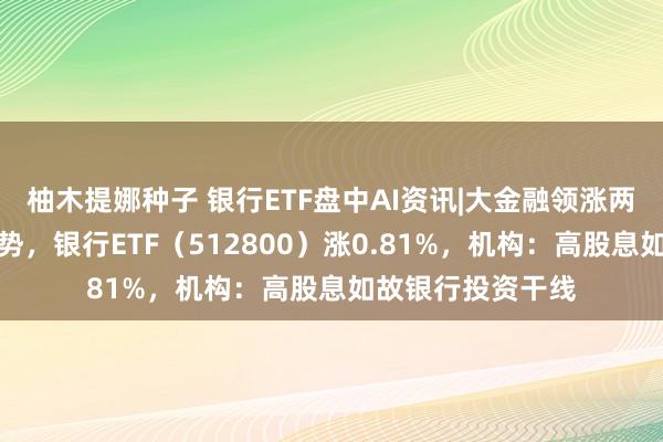 柚木提娜种子 银行ETF盘中AI资讯|大金融领涨两市，银行重回强势，银行ETF（512800）涨0.81%，机构：高股息如故银行投资干线