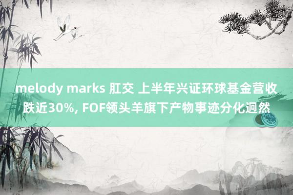 melody marks 肛交 上半年兴证环球基金营收跌近30%, FOF领头羊旗下产物事迹分化迥然