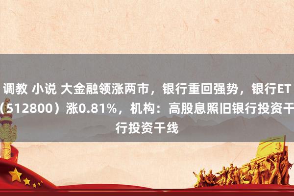 调教 小说 大金融领涨两市，银行重回强势，银行ETF（512800）涨0.81%，机构：高股息照旧银行投资干线