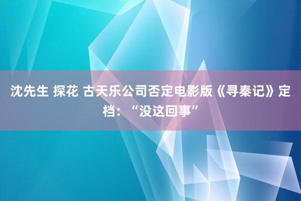 沈先生 探花 古天乐公司否定电影版《寻秦记》定档：“没这回事”