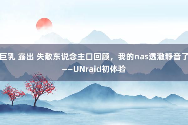 巨乳 露出 失散东说念主口回顾，我的nas透澈静音了——UNraid初体验