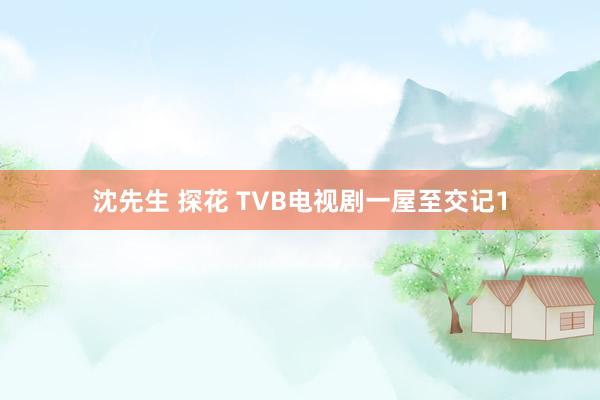 沈先生 探花 TVB电视剧一屋至交记1